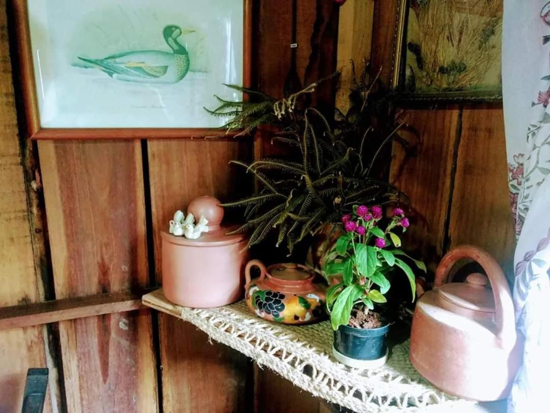Cabana Rustica Calabresi Villa Osorio Eksteriør billede